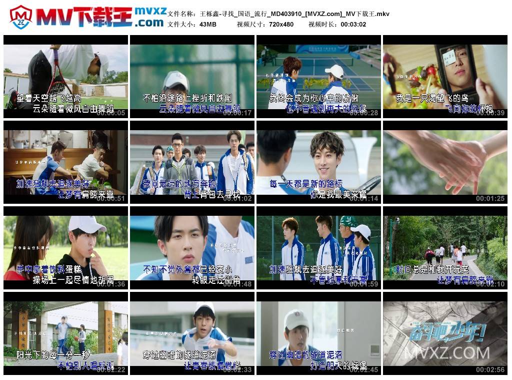 王栎鑫-寻找_国语_流行_MD403910